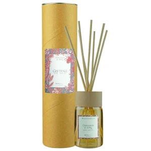 Ambientador Mikado 100ml | Special Edition | Cinnamon & Apple